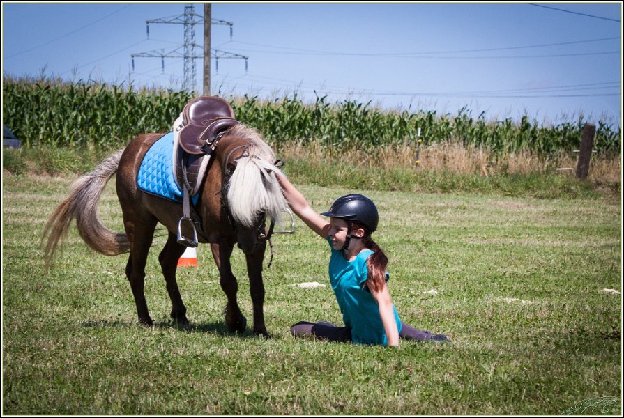 Mounted Games 111